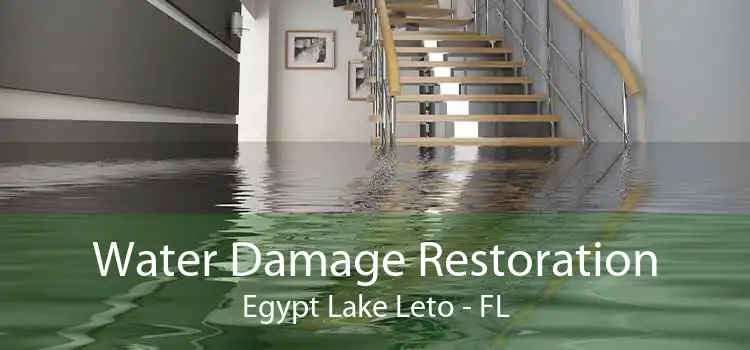 Water Damage Restoration Egypt Lake Leto - FL
