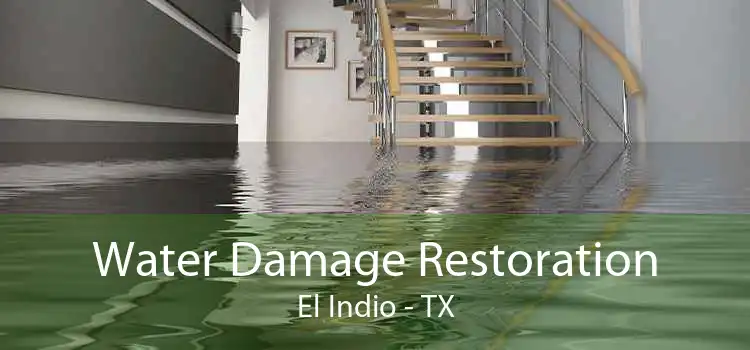 Water Damage Restoration El Indio - TX