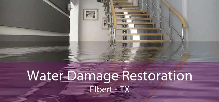Water Damage Restoration Elbert - TX