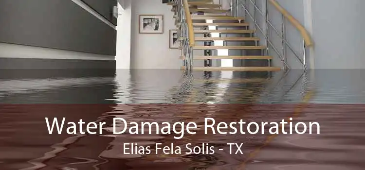 Water Damage Restoration Elias Fela Solis - TX