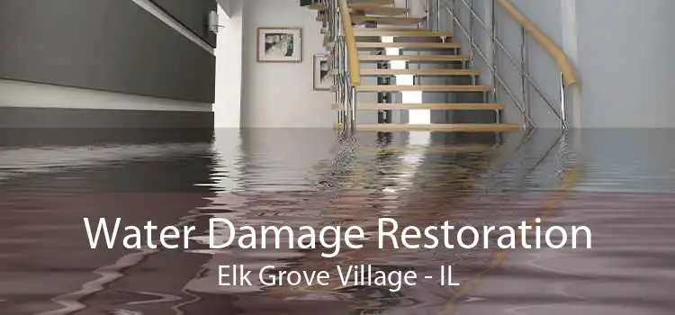 Water Damage Restoration Elk Grove Village - IL
