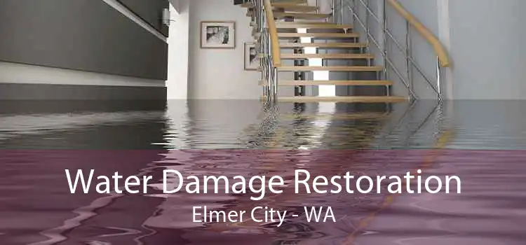 Water Damage Restoration Elmer City - WA