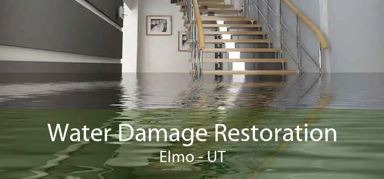 Water Damage Restoration Elmo - UT