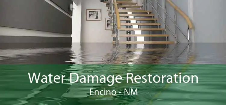 Water Damage Restoration Encino - NM