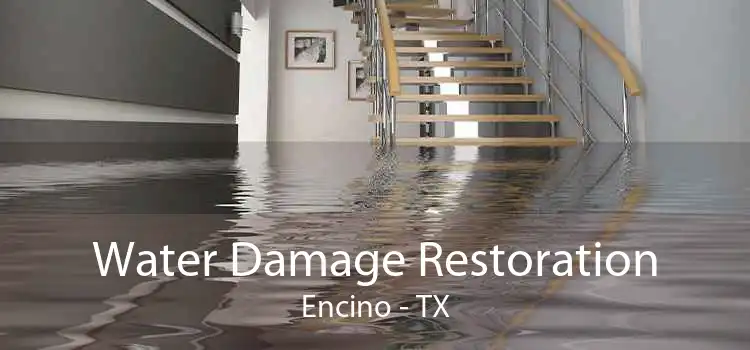 Water Damage Restoration Encino - TX