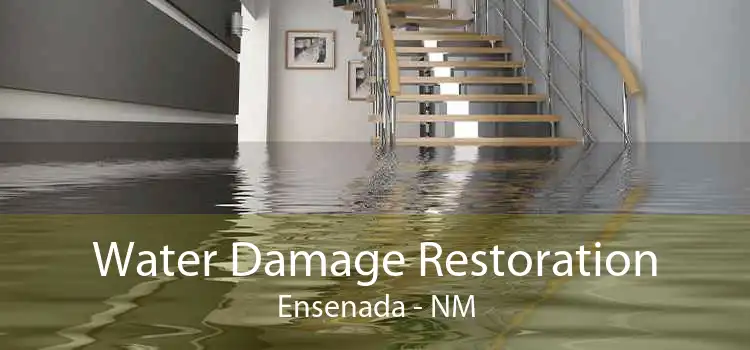 Water Damage Restoration Ensenada - NM