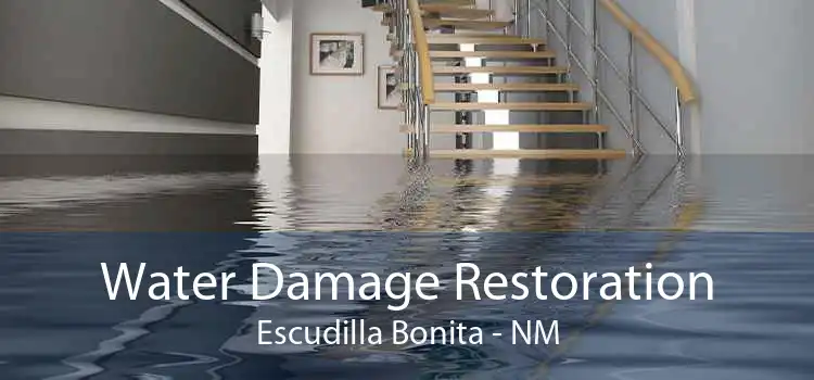 Water Damage Restoration Escudilla Bonita - NM