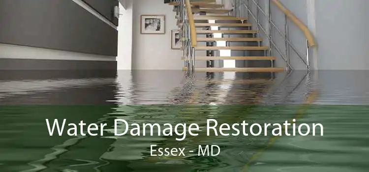 Water Damage Restoration Essex - MD