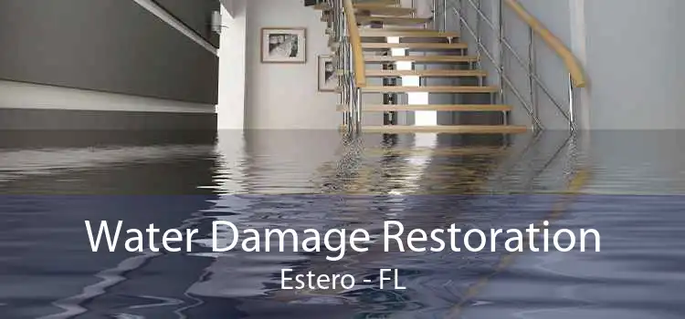 Water Damage Restoration Estero - FL