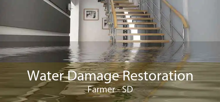 Water Damage Restoration Farmer - SD