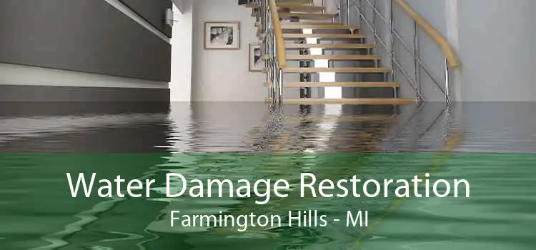 Water Damage Restoration Farmington Hills - MI