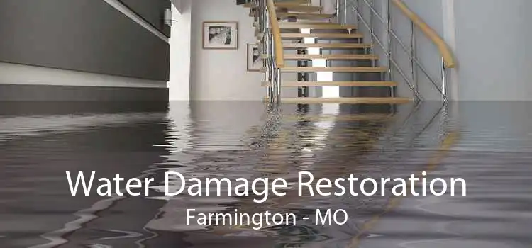 Water Damage Restoration Farmington - MO