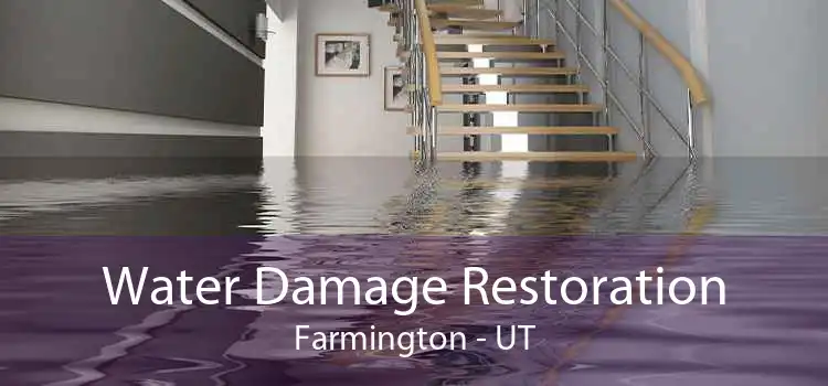 Water Damage Restoration Farmington - UT