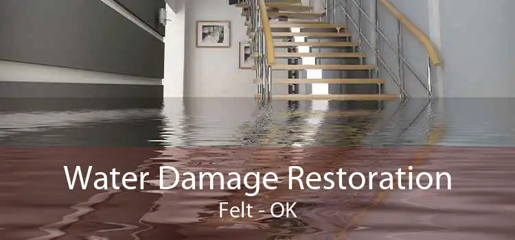 Water Damage Restoration Felt - OK
