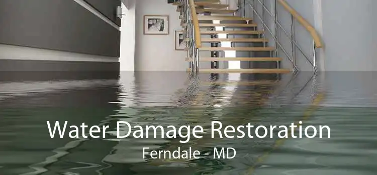 Water Damage Restoration Ferndale - MD