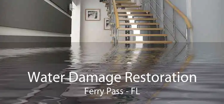 Water Damage Restoration Ferry Pass - FL