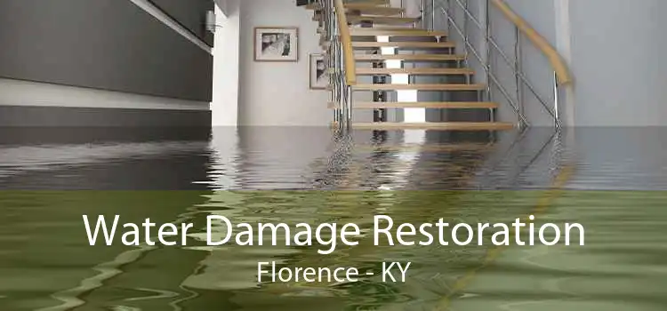 Water Damage Restoration Florence - KY