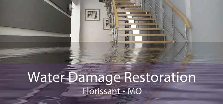 Water Damage Restoration Florissant - MO