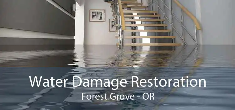 Water Damage Restoration Forest Grove - OR