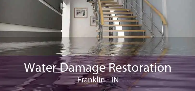 Water Damage Restoration Franklin - IN