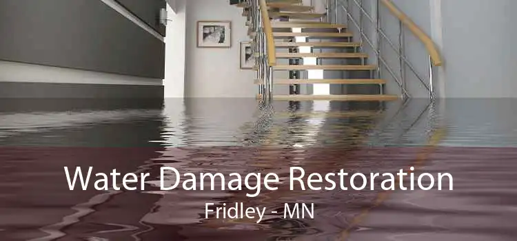 Water Damage Restoration Fridley - MN