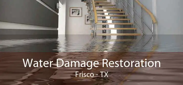 Water Damage Restoration Frisco - TX