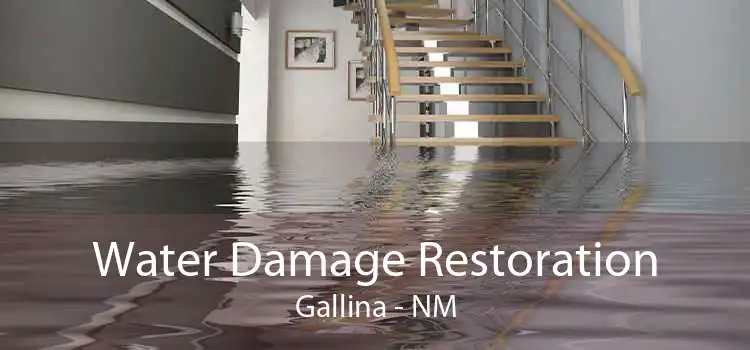 Water Damage Restoration Gallina - NM