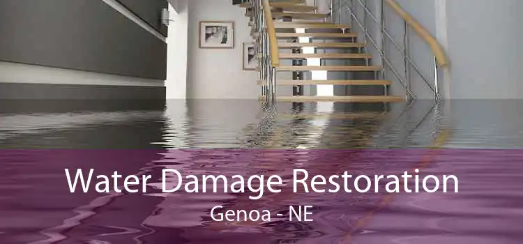 Water Damage Restoration Genoa - NE