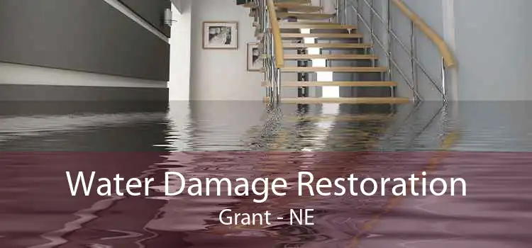 Water Damage Restoration Grant - NE