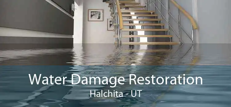 Water Damage Restoration Halchita - UT