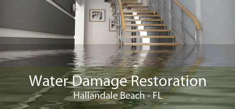 Water Damage Restoration Hallandale Beach - FL