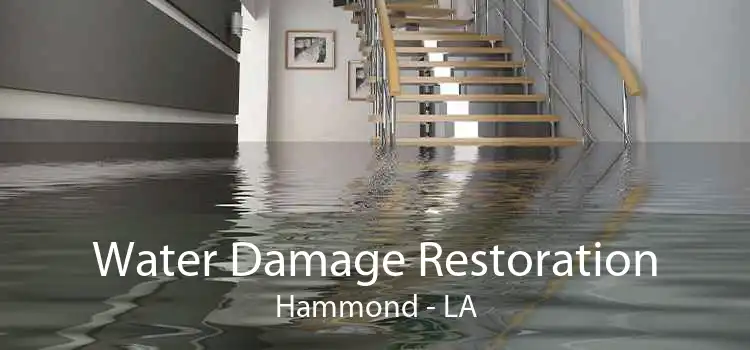 Water Damage Restoration Hammond - LA
