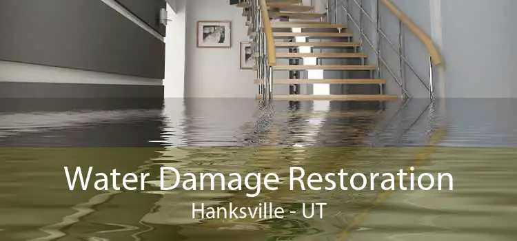 Water Damage Restoration Hanksville - UT