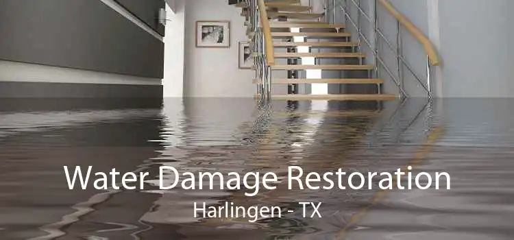 Water Damage Restoration Harlingen - TX