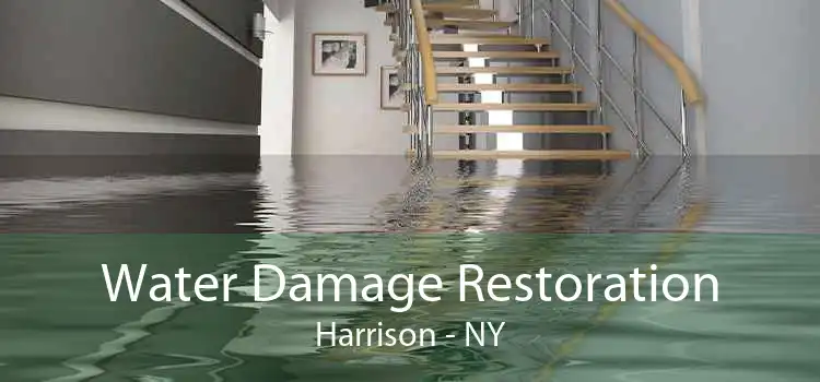 Water Damage Restoration Harrison - NY
