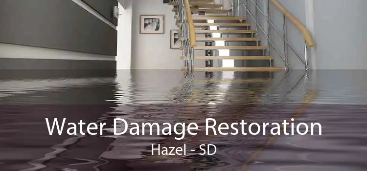 Water Damage Restoration Hazel - SD
