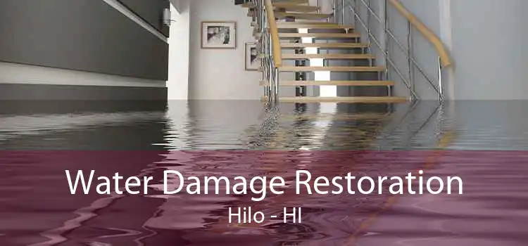 Water Damage Restoration Hilo - HI