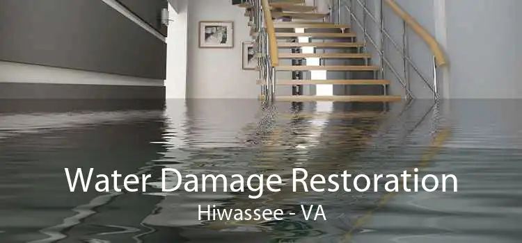 Water Damage Restoration Hiwassee - VA