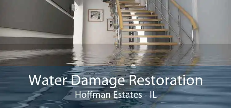 Water Damage Restoration Hoffman Estates - IL