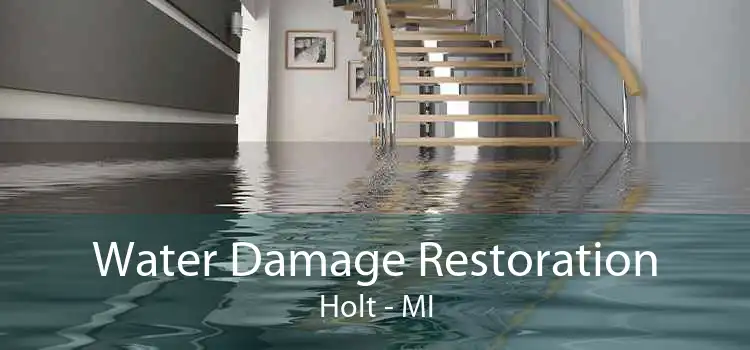 Water Damage Restoration Holt - MI