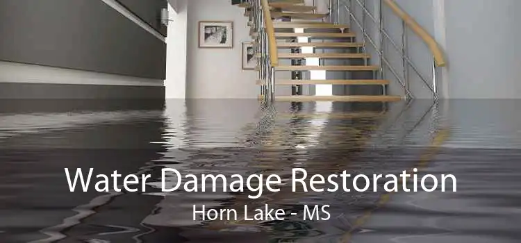 Water Damage Restoration Horn Lake - MS