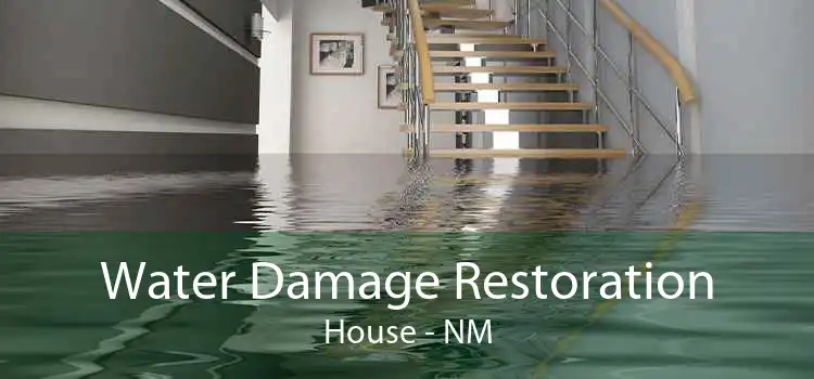 Water Damage Restoration House - NM