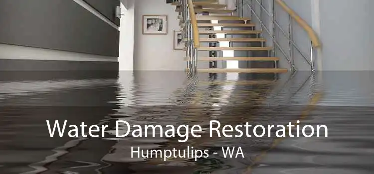 Water Damage Restoration Humptulips - WA