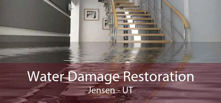 Water Damage Restoration Jensen - UT