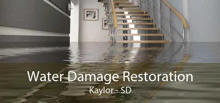 Water Damage Restoration Kaylor - SD
