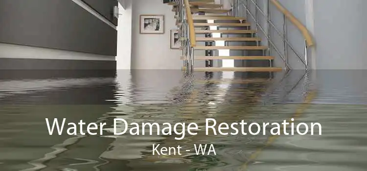 Water Damage Restoration Kent - WA