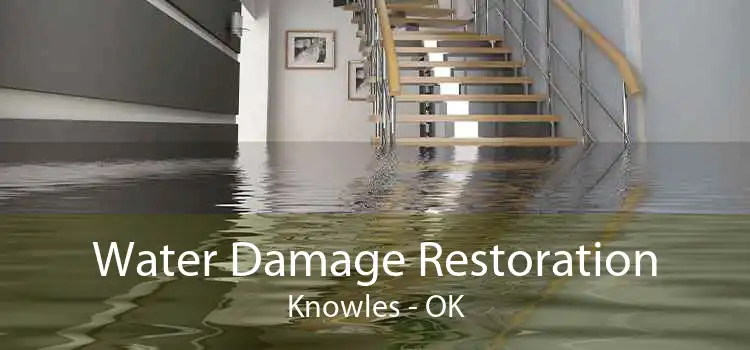 Water Damage Restoration Knowles - OK