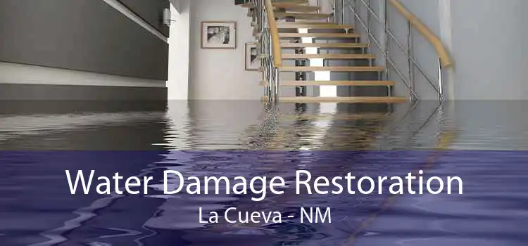 Water Damage Restoration La Cueva - NM