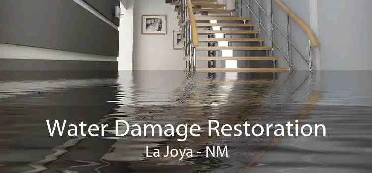Water Damage Restoration La Joya - NM