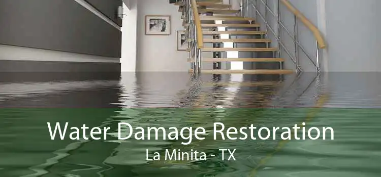 Water Damage Restoration La Minita - TX